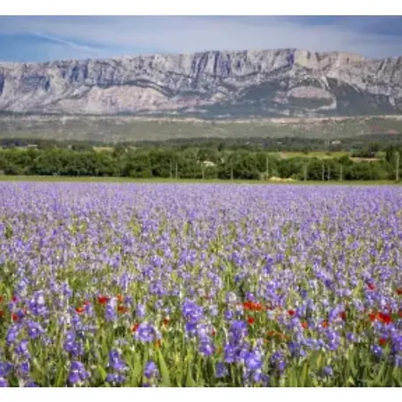 Aix-en-provence, Cosy Proche Toutes Commodites, Linges Fournis Appartement Aix-en-Provence
